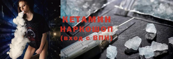 прущие грибы Надым