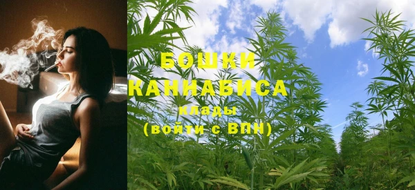 прущие грибы Надым